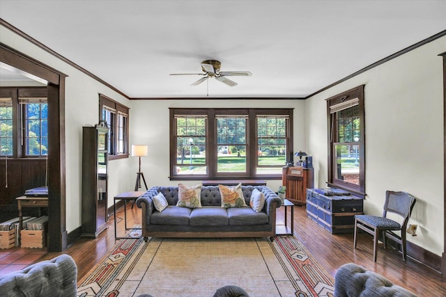 310 Davidson Dr, Champaign, IL 61821 - living room with ornamental molding, plenty of natural light, wood finished floors, and a ceiling fan