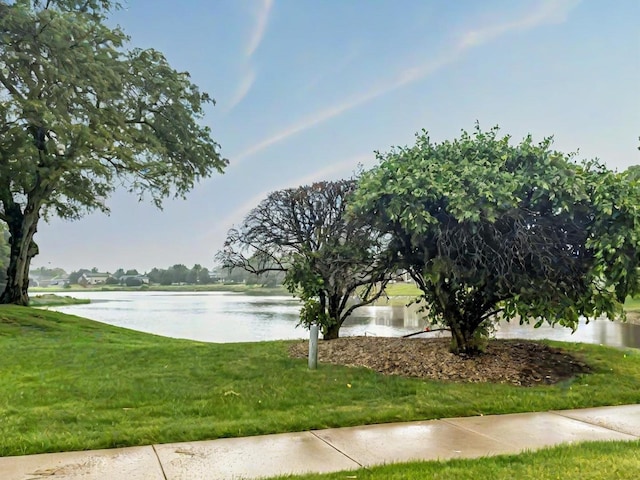 15704 Orlan Brook Dr Unit 163, Orland Park, IL 60462 - water view