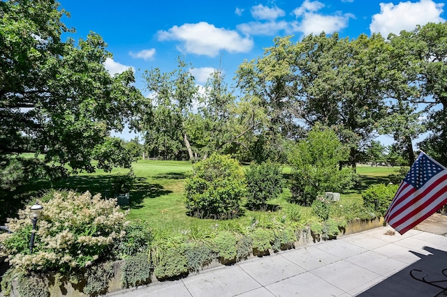 1640 Royal Oak Rd Unit 4, Darien, IL 60561 - view of grassy yard with view of wooded area