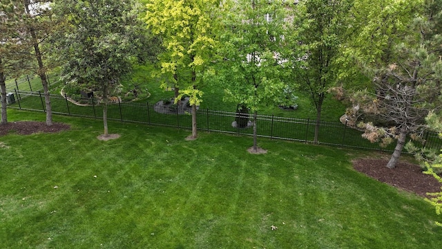 10880 Swallow Tail Ln, Frankfort, IL 60423 - view of yard