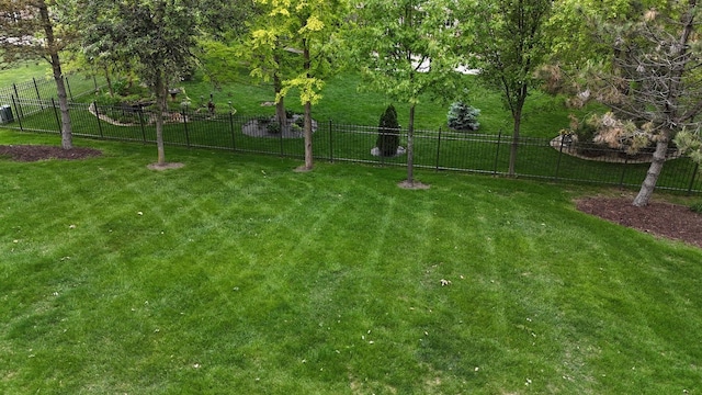 10880 Swallow Tail Ln, Frankfort, IL 60423 - view of yard