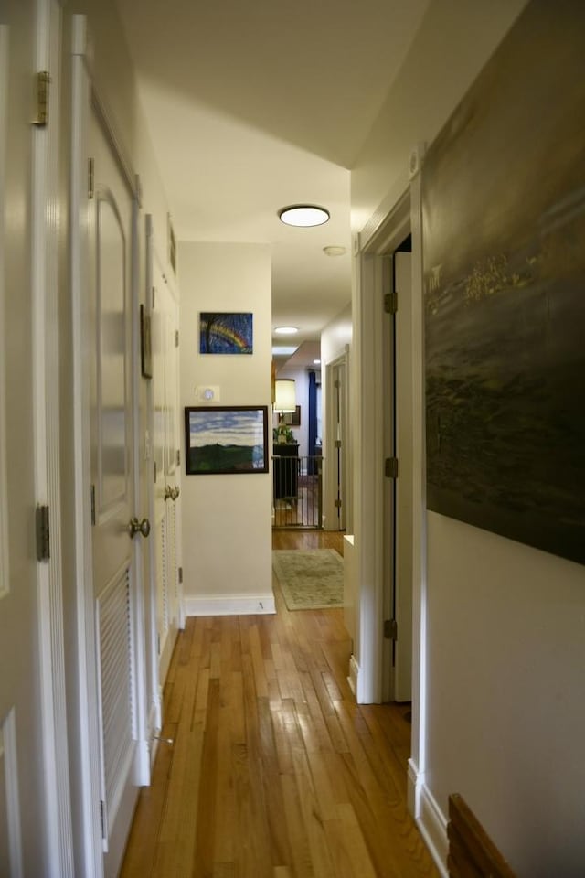 5206 N Winthrop Ave Unit 1, Chicago, IL 60640 - hall featuring wood finished floors