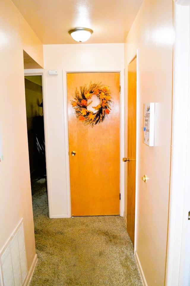 9820 S Pulaski Ave Unit 218, Oak Lawn, IL 60453 - corridor with carpet floors