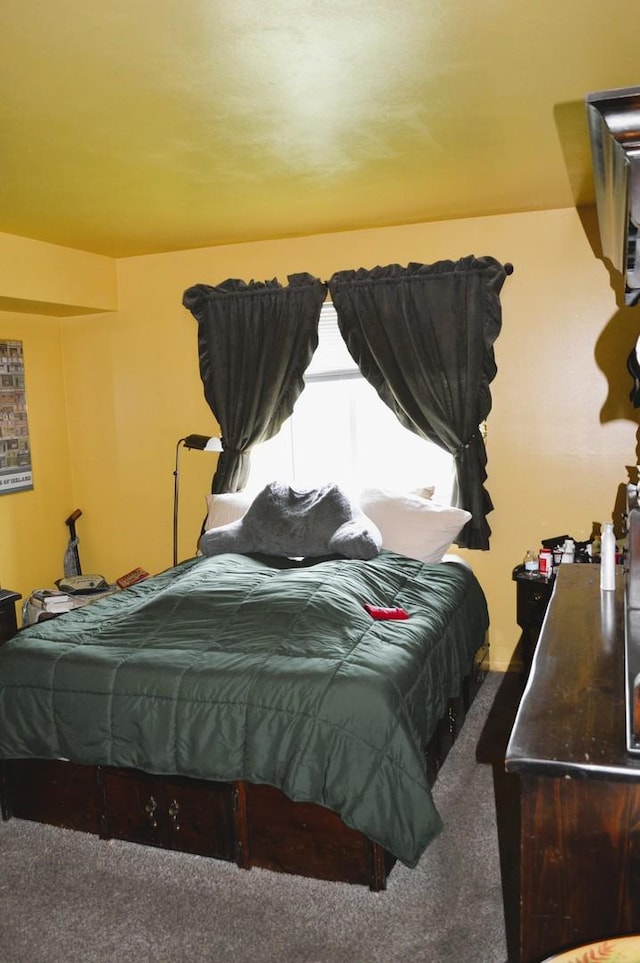 9820 S Pulaski Ave Unit 218, Oak Lawn, IL 60453 - bedroom featuring carpet