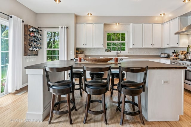900 Legacy Rdg, Algonquin, IL 60102 - kitchen with high end stainless steel range, light wood-style floors, white cabinets, and backsplash