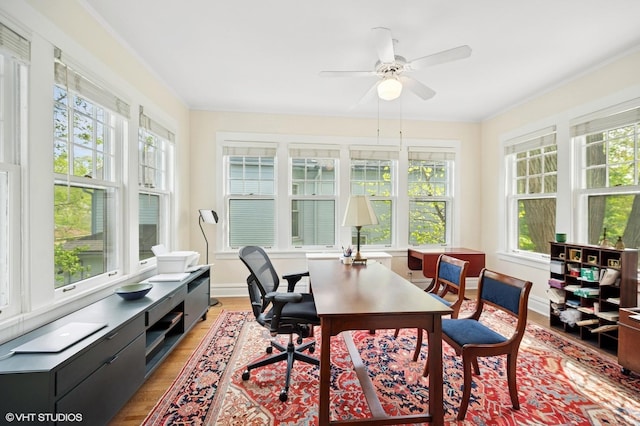 739 Forest Ave, Evanston, IL 60202 - office space with healthy amount of natural light, light wood-type flooring, a ceiling fan, crown molding, and baseboards