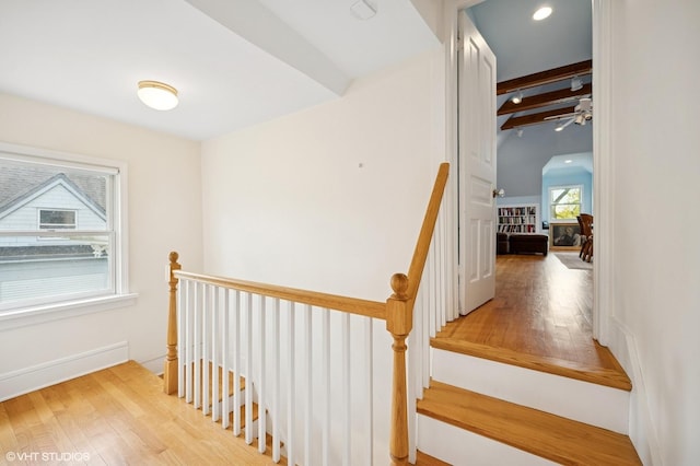 739 Forest Ave, Evanston, IL 60202 - stairway featuring beamed ceiling, hardwood / wood-style floors, and ceiling fan