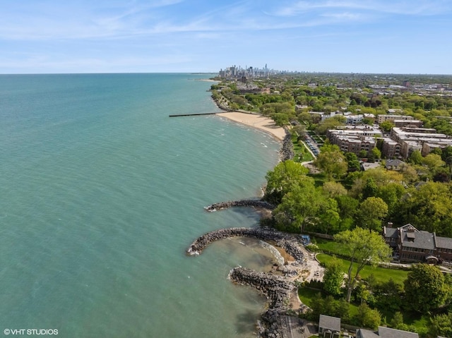 739 Forest Ave, Evanston, IL 60202 - bird's eye view of a large body of water