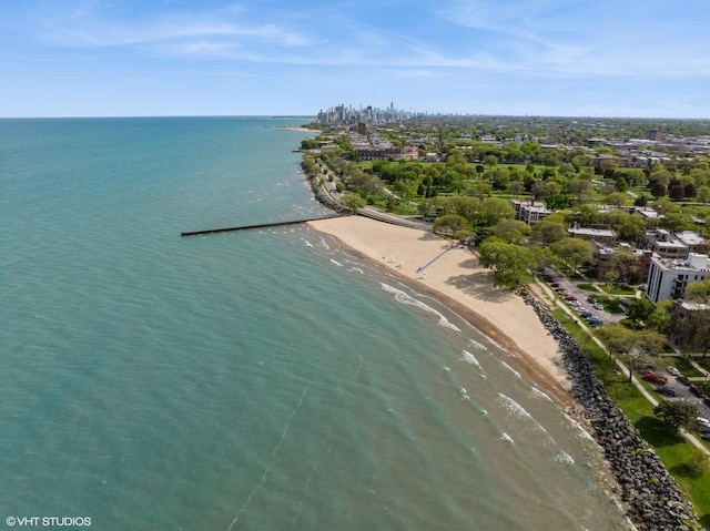 739 Forest Ave, Evanston, IL 60202 - drone / aerial view of unending shoreline