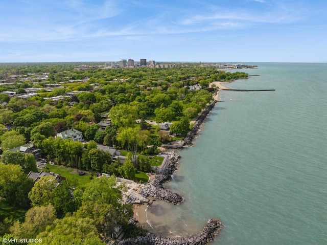 739 Forest Ave, Evanston, IL 60202 - drone / aerial view of a large body of water and a tree filled landscape