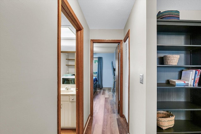 1803 Oliver Dr Unit 3, Urbana, IL 61802 - hallway with wood finished floors, a sink, and a textured ceiling