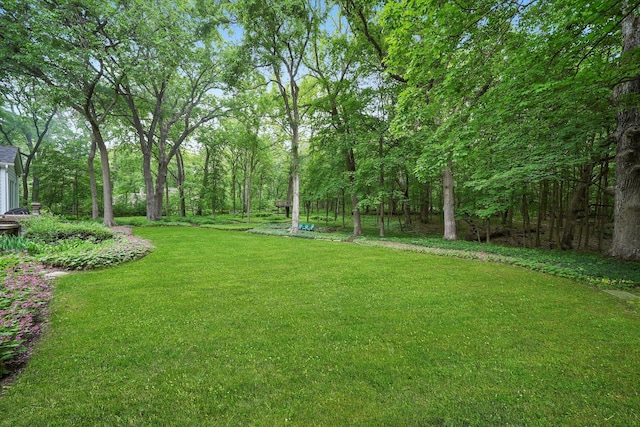 4N307 Knoll Creek Dr, Saint Charles, IL 60175 - view of green lawn