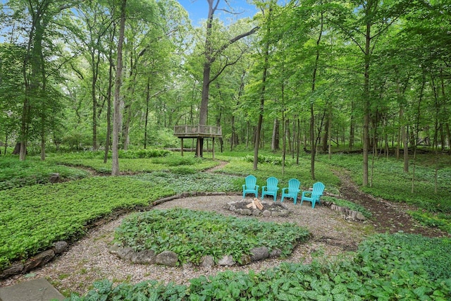 4N307 Knoll Creek Dr, Saint Charles, IL 60175 - view of yard with an outdoor fire pit and a view of trees