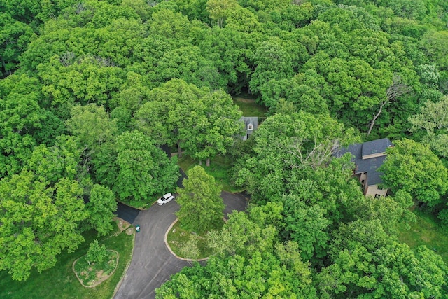 4N307 Knoll Creek Dr, Saint Charles, IL 60175 - aerial overview of property's location with a forest