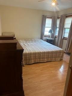 785 Alice St, Chicago Heights, IL 60411 - bedroom with light wood-style floors and a ceiling fan