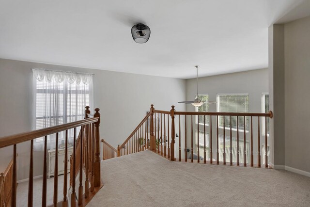 1203 Tulip Tree Ct, Lake Villa, IL 60046 - photo 22