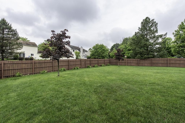 1161 Sumner Cir, Gurnee, IL 60031 - view of yard
