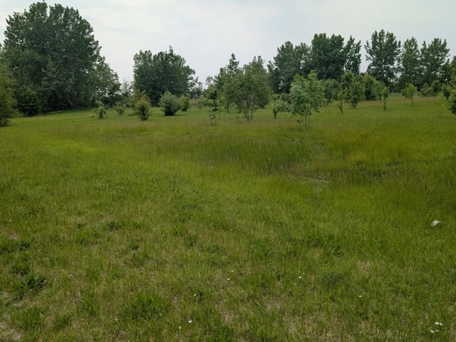 0 Gore Rd, Morris, IL 60450 - photo 2