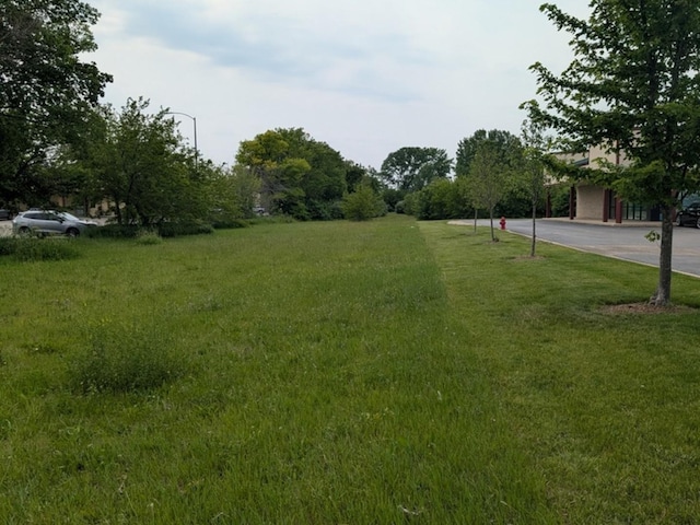 0 Gore Rd, Morris, IL 60450 - photo 4