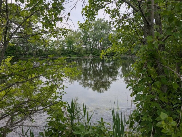 0 Gore Rd, Morris, IL 60450 - photo 6