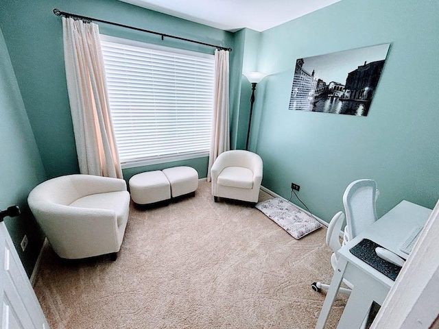 915 Manchester Cir, Grayslake, IL 60030 - view of carpeted office