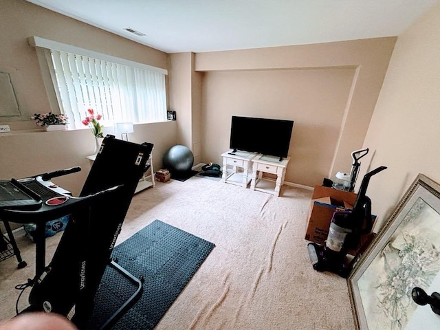 915 Manchester Cir, Grayslake, IL 60030 - office area featuring carpet floors
