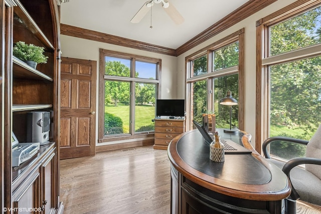 26 Forest Ln, South Barrington, IL 60010 - office space with ceiling fan, crown molding, and light wood-type flooring