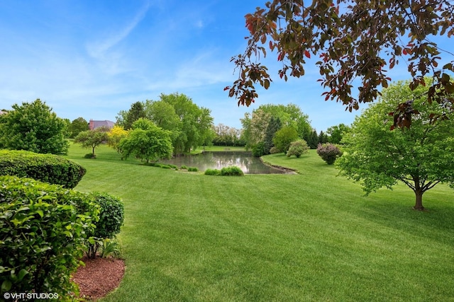 26 Forest Ln, South Barrington, IL 60010 - view of green lawn with a water view