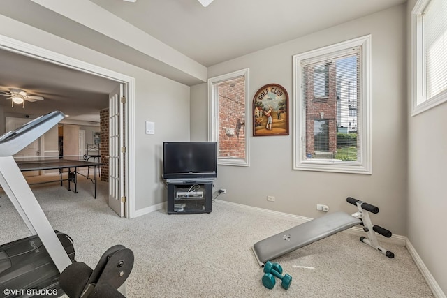 26 Forest Ln, South Barrington, IL 60010 - workout room with carpet floors and a ceiling fan