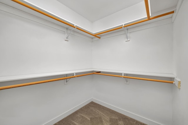 405 S Carol Ln, Braidwood, IL 60408 - walk in closet with carpet floors