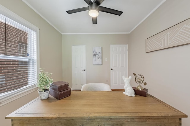 6847 W Shakespeare Ave, Chicago, IL 60707 - photo 22