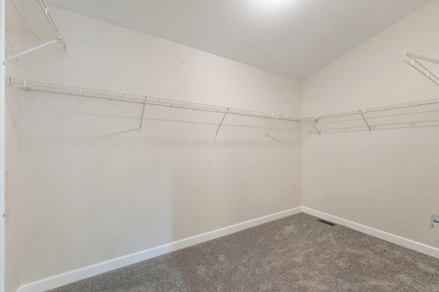 530 Old Oak Cir, Algonquin, IL 60102 - walk in closet with carpet flooring