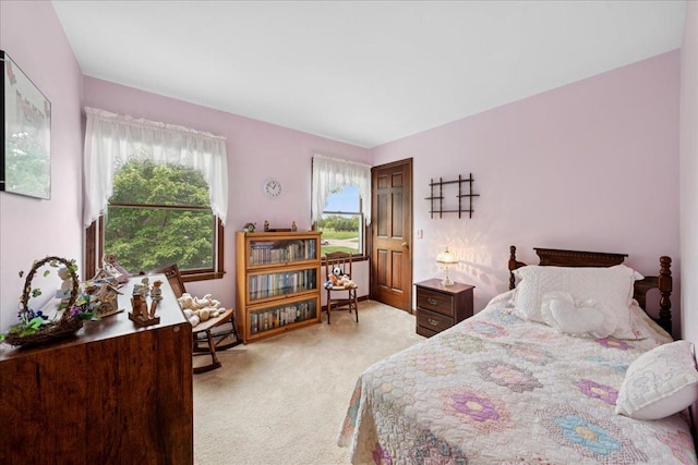 10 S Canterbury Rd, Aurora, IL 60506 - bedroom featuring light carpet