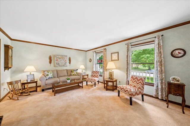 10 S Canterbury Rd, Aurora, IL 60506 - living area with ornamental molding, light carpet, and baseboards