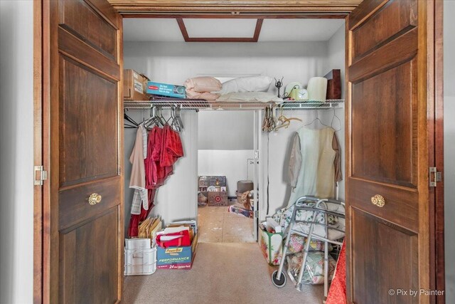 25827 W Andrew Ct, Ingleside, IL 60041 - walk in closet with carpet floors