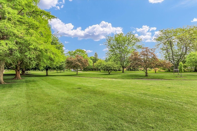 1910 Melrose Dr Unit C, Champaign, IL 61820 - surrounding community with a yard and view of wooded area