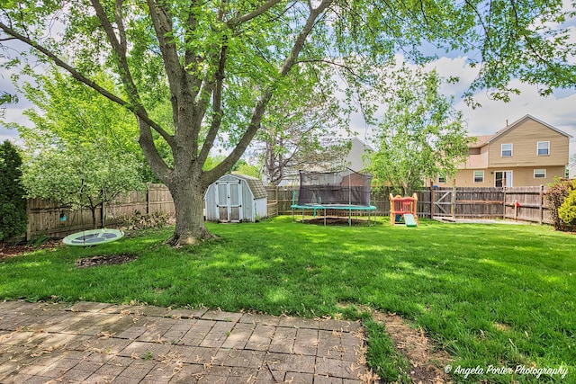 1381 Regency Ln, Lake Villa, IL 60046 - view of yard featuring a trampoline