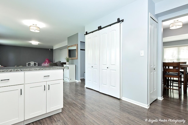 1381 Regency Ln, Lake Villa, IL 60046 - kitchen with dark wood-style flooring, white cabinets, a barn door, and baseboards
