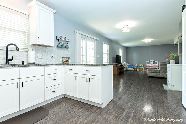 1381 Regency Ln, Lake Villa, IL 60046 - kitchen with a peninsula, open floor plan, dark wood-style flooring, a sink, and stone countertops