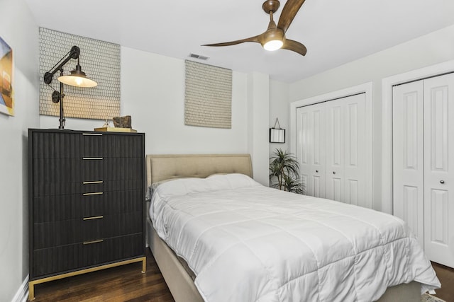 1946 W Newport Ave Unit 1E, Chicago, IL 60657 - bedroom with two closets, wood finished floors, and ceiling fan