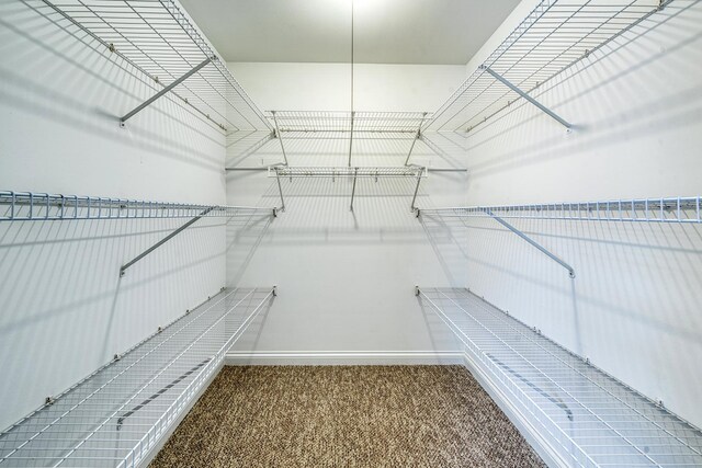 8 Cour Masson Cir Unit 0, Palos Hills, IL 60465 - walk in closet featuring carpet flooring