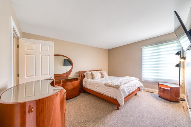 8 Cour Masson Cir Unit 0, Palos Hills, IL 60465 - bedroom featuring light colored carpet and baseboards