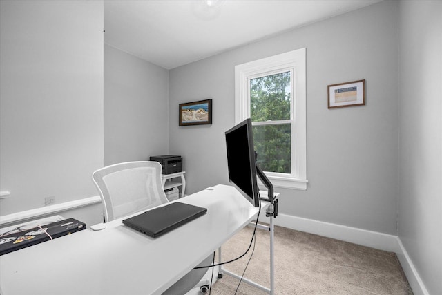 31 S Jackson St, Batavia, IL 60510 - photo 8