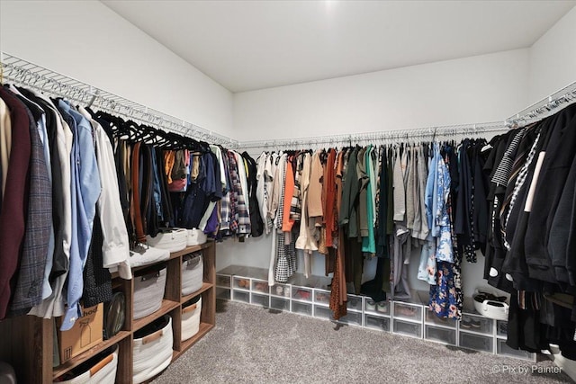 1715 Bayberry Ln, Pingree Grove, IL 60140 - spacious closet with carpet flooring