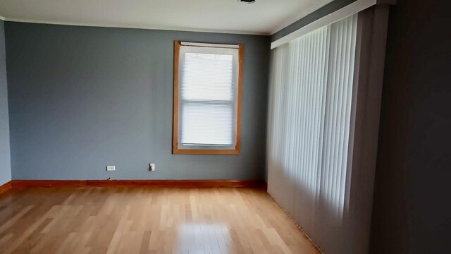 204 S Orchard Dr, Park Forest, IL 60466 - photo 13