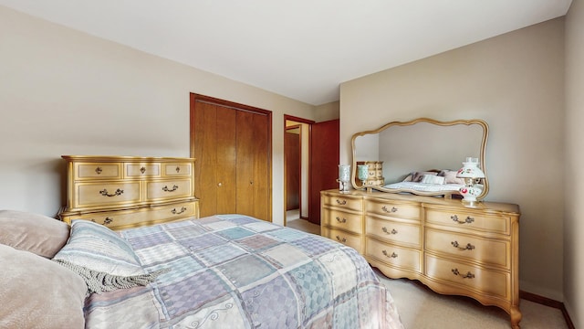 1510 W Goldengate Dr, Addison, IL 60101 - bedroom with light colored carpet and a closet