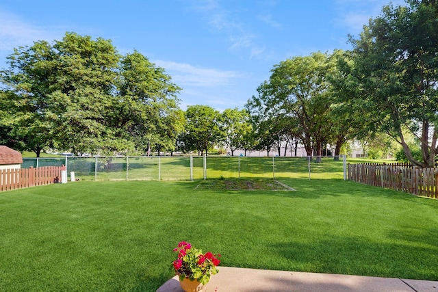1510 W Goldengate Dr, Addison, IL 60101 - view of yard