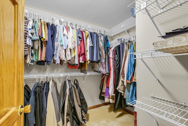 1206 Wilshire Ct, Champaign, IL 61821 - spacious closet with carpet floors