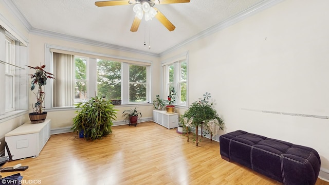 4608 W Altgeld St, Chicago, IL 60639 - living area featuring ornamental molding, light wood-style flooring, and ceiling fan