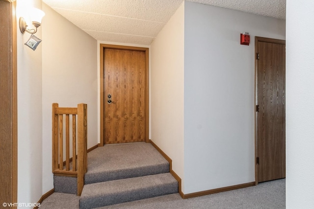1258 Chalet Rd Unit 101, Naperville, IL 60563 - staircase featuring carpet flooring and baseboards